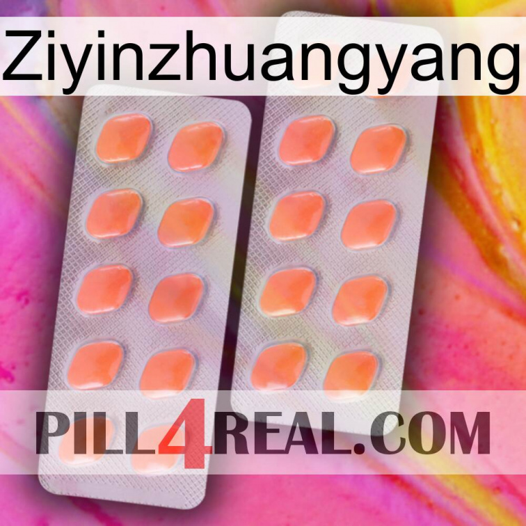 Ziyinzhuangyang 27